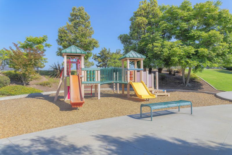 Professional Equipment Setup